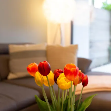 Apartment Micasa Ol Oldenburg