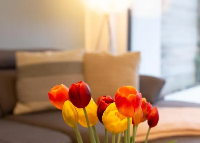 Lejlighed Micasa Ol Oldenburg